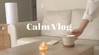 Мое любимое видео. Домашний влог, спокойная атмосфера и навожу уют дома. (