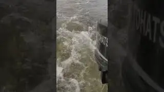 Можно бесконечно смотреть 