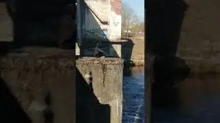 как с бодриться с утра)))