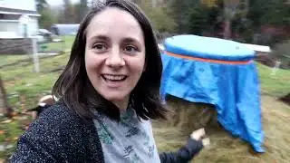 Hay for Days