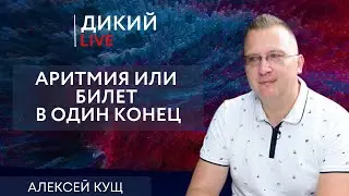 Потеряв голову по волосам не плачут… Алексей Кущ. Дикий LIVE.