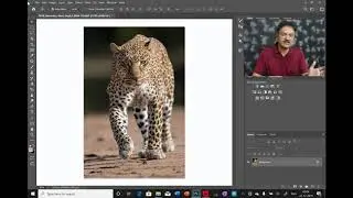 How to Resize Images in Photoshop