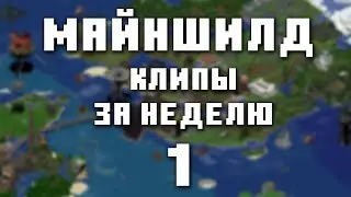 МайнШилд 3 | Клипы за неделю | Часть 1