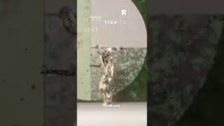 Is BLENDER FREE? 