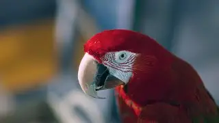 Samsung WindFree - Zohrab TVC