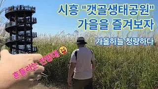 Korea's clear skies and ecological parks #park #koreatravel