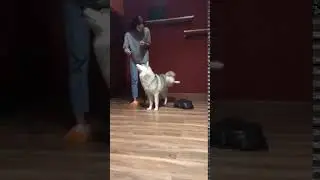 Шутка от Дарис