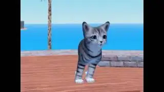 Cat Dance2