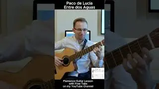 Entre dos Aguas - Paco de Lucia (Part 4) #shorts #flamencoguitar #entredosaguas #pacodelucia #guitar