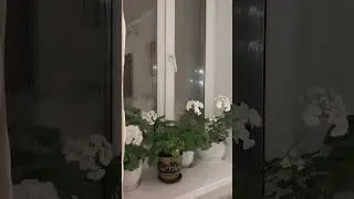 Мои дополнительные  видео в формате 
