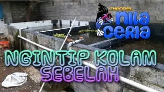 NGINTIP KOLAM SEBELAH