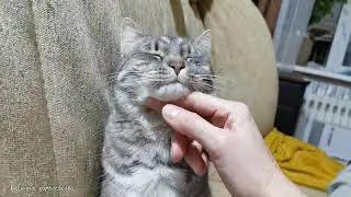 Что делать, когда не с кем поиграть