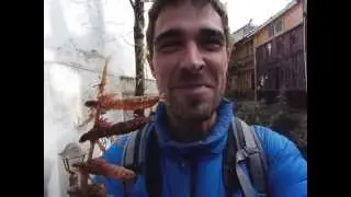 CHINESE BUG FEAST (AIWORLD)