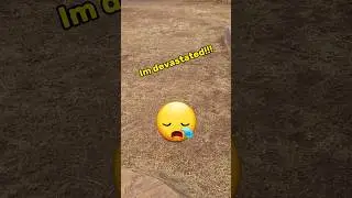 budget lawn over seed went wrong not really just waiting for it to grow