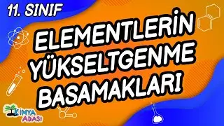 ELEMENTLERİN YÜKSELTGENME BASAMAKLARI (11. SINIF) | Kimya Adası
