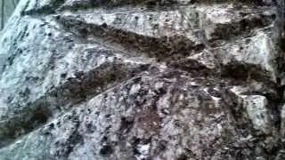 Tesori dal mondo
