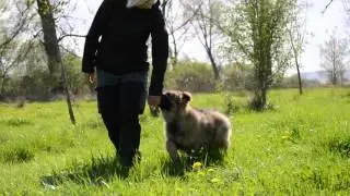 EINSTEIN Urban Team