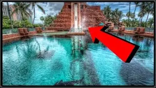 BEST PARADISE ISLAND!! 🌴