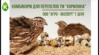 Видеообзор комбикормов для перепелов