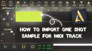 How to import sample in midi track on Audio evolution mobile
