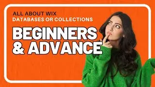 Complete Guide to Wix Databases for Beginners & Advance users