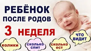 What's happening and what does a baby need in the third week of life? A baby in the third week af...