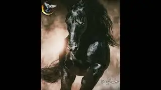 #2024 #New #nasheed ♡Sawfa Nabqo Huna♡ | #Сильный Новый #Нашид| سوف نبقى هنأ🍃