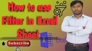 How to use Filter in Excel Sheet 