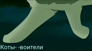 Клип коты-воители
