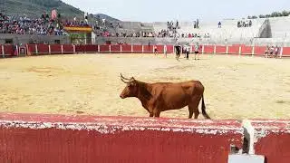 2a vaquilla -  La Puerta de Segura 20-09-2019