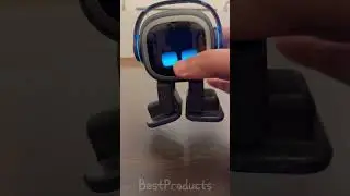 Emo Robot Throws a Tantrum When I Pick Him Up!  Is He Sentient?  
