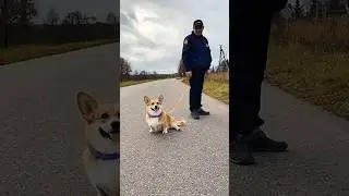 Говорят, Новый год скоро. Не верю