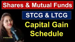 Capital Gain Income Tax Return Filing AY 25-26| Itr2 shares & mutual funds | STCG LTCG in ITR 24-25|