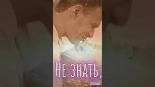 Цитата