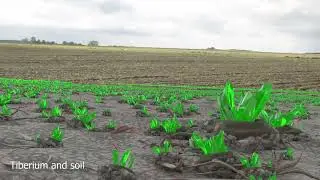 Stormy Fields VFX Breakdown