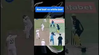 Red ball vs white ball #shorts #cricket