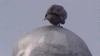 Щёкино Тульской области