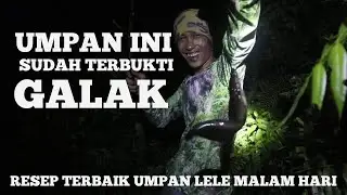 Umpan Jitu Ikan Lele Malam Hari Terbaru