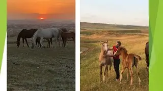 Девочка требует внимания. 228. Дагестан.