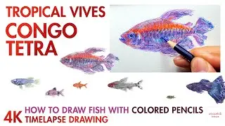 Drawing Fish with Colored Pencils - [Tropical Vives] Congo Tetra
