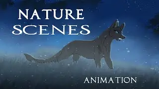 Random Nature Scene Animations From My Series