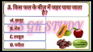 Gk Questions And Answers | Gk Questions | Gk ke sawal | Gk Questions in Hindi | Gk | Gk ke video