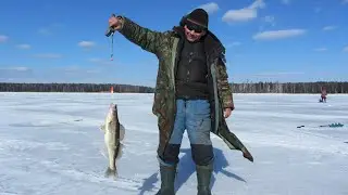 НА ОДНОГО СУДАКА 100 РЫБАКОВ .Разведка по новым местам .ПОСЛЕДНИЙ ЛЁД.2021.