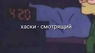 Хаски - смотрящий(Bassboosted)