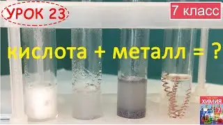 Reactions of acids with metals. Lesson 23. Chemistry 7th grade.