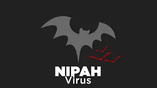 What is Nipah Virus | Health Advisory | 2019