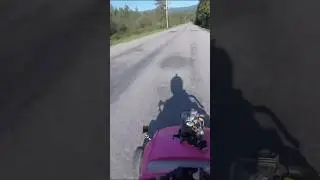 Street Racing Barbie Cars!
