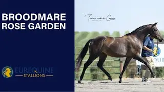 Broodmare: Rose Garden Jump Chute