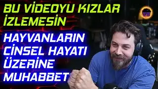 Elraen Ekiple Hayvanların Cinsel Hayatı Üzerine Gözlerden Yaş Getiren Muhabbet w/ Nemesis, RRaenee