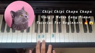 Chipi Chipi Chapa Chapa | Only 3 Notes Easy Piano Tutorial | For Beginners 😱🔥